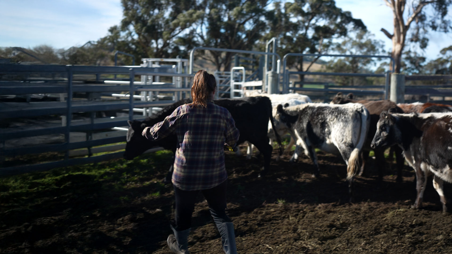 Land management services that support smarter farming